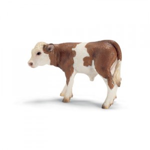 brown calf